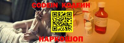 индика Камень-на-Оби