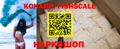 индика Камень-на-Оби