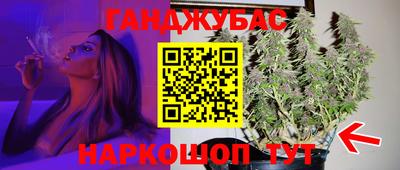 индика Камень-на-Оби