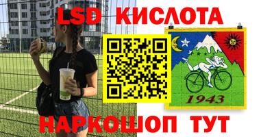 индика Камень-на-Оби