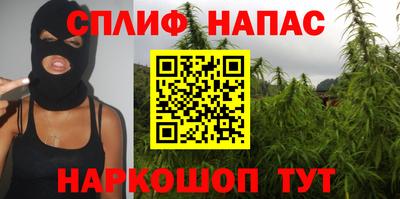индика Камень-на-Оби