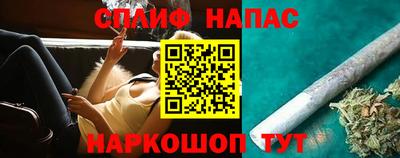 индика Камень-на-Оби