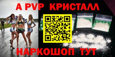 индика Камень-на-Оби