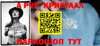 индика Камень-на-Оби