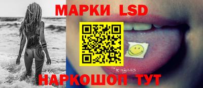 индика Камень-на-Оби