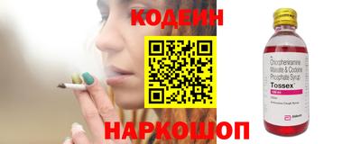 индика Камень-на-Оби