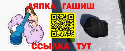 индика Камень-на-Оби